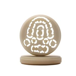 Multi-layer Temporary Restoration PMMA