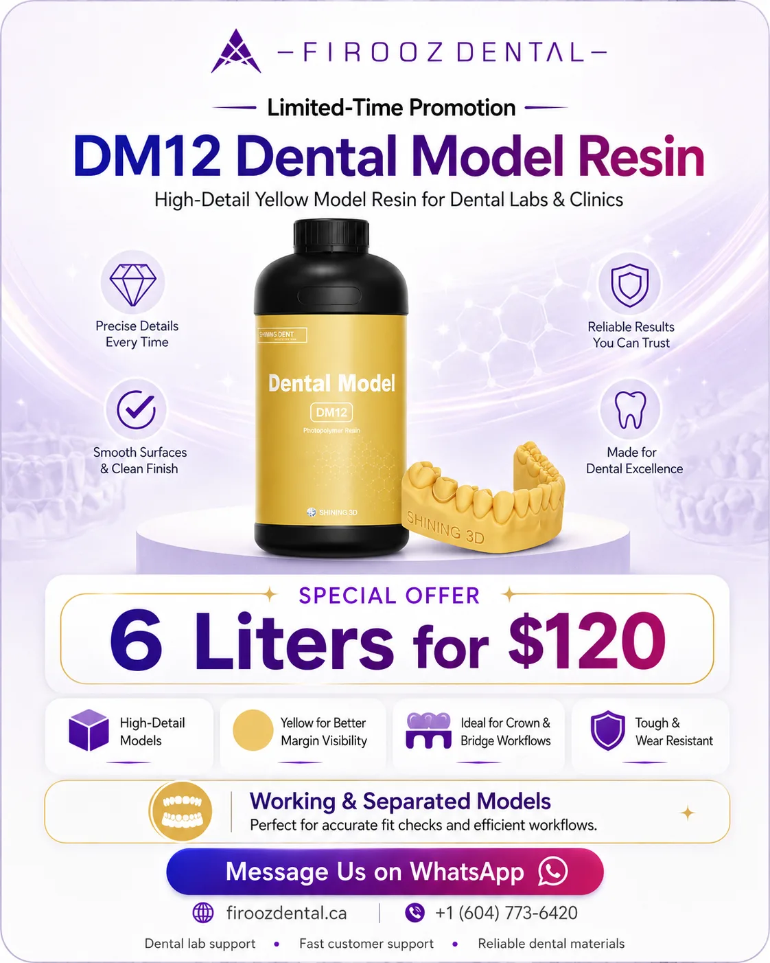 DM12 promo
